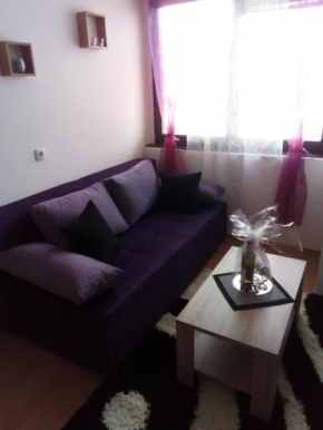Apartman Čugurović